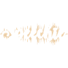 SLP Speechie Speech Language Pathologist