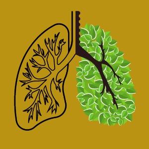 Lunge Baum Lebenszyklus