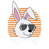 Hip Hop Rabbit
