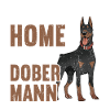 Dobermann Chien Doberman