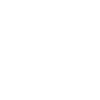 Schnauzer from behind dogs