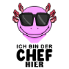 cooler Axolotl Chef Spruch