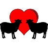 Sheep Love
