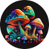 TRIPPY MUSHROOMS