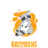 Raccoon Gift Raccoon