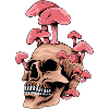 MUSHROOM SKULL