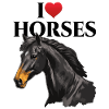 I Love Horses
