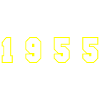 1955 Year Number