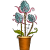 Blumen