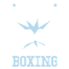 Boxing Boxes