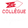 Collègue Géniale cadeau
