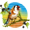 Bunter Vogel