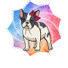 Bouledogue français