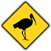 Bin Chicken Road sign