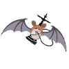 schischafledermaus