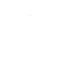 BIN CHICKEN PARADISE