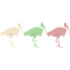 3 Bin Chicken
