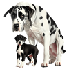 Dogge - Great Dane
