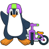 Vélo Pingouin