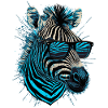 Cool zebra