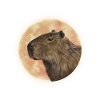 Capybara Moon