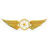 Drone Pilot Drohne