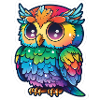Farbenfrohe Eulenillustration
