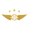 Drone Pilot - Drohnenpilot Emblem Abzeichen