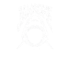 Jawsome - Shark