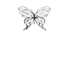 simple isometric butterfly