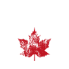 Ottawa