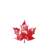 Toronto