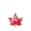 Edmonton