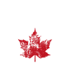 Winnipeg