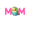 budgerigar parakeet, budgie