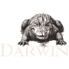 Darwin Aligator