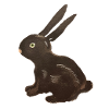 Black Rabbit