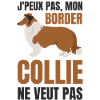 Border collie chien doux
