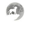 Vizsla Silhouette Moon Stars