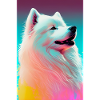 Samojed Hund Kjæledyr Canine Fargerik Hund