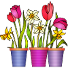 Blumen