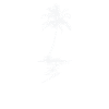 Palm plant holiday beach