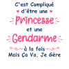 Princesse gendarme