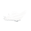Motorboot