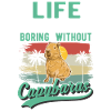 Capybara Gift Capibara capybara
