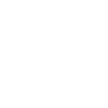 Fencing Fencer
