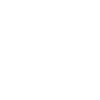 Fencer Fencing