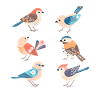 Oiseaux mignons Oiseau Oiseau