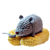Maus auf Mais