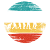 Retro Development